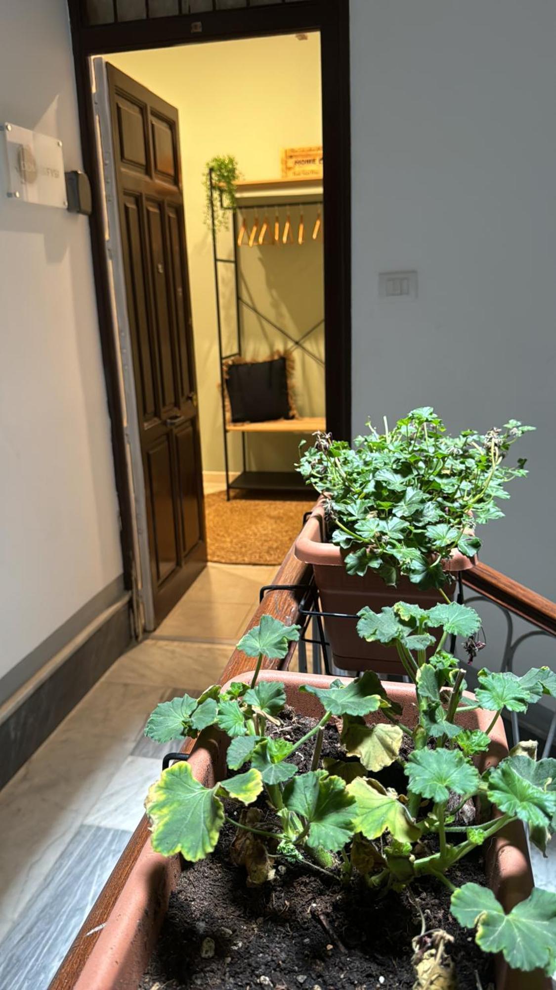 Domus Fysi Hotel Palermo Buitenkant foto
