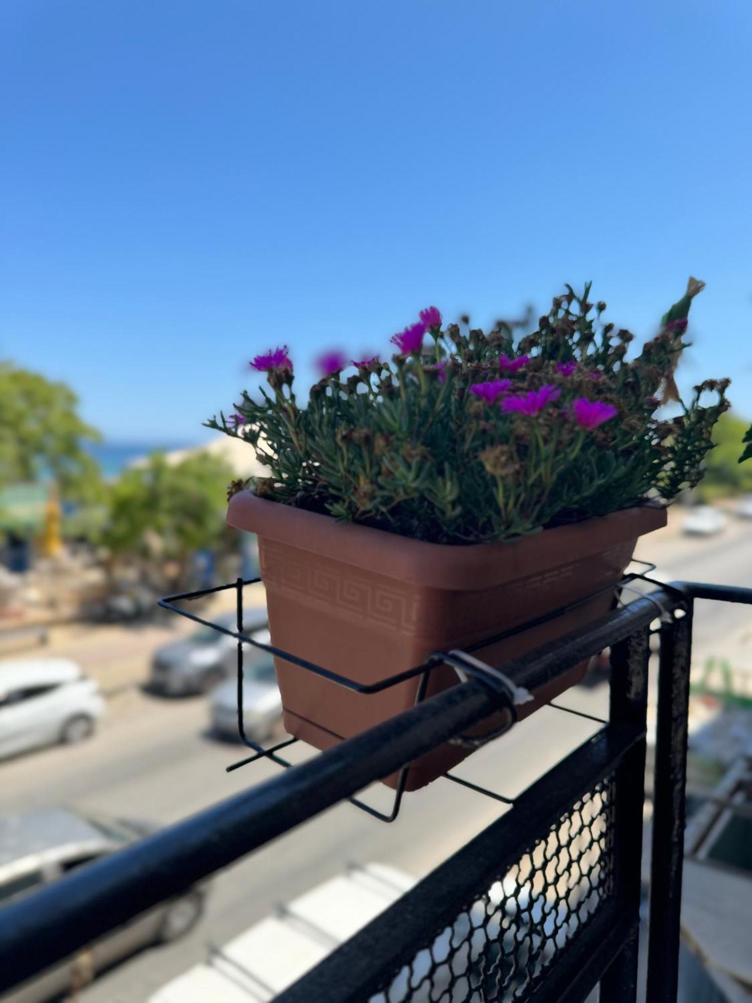 Domus Fysi Hotel Palermo Buitenkant foto